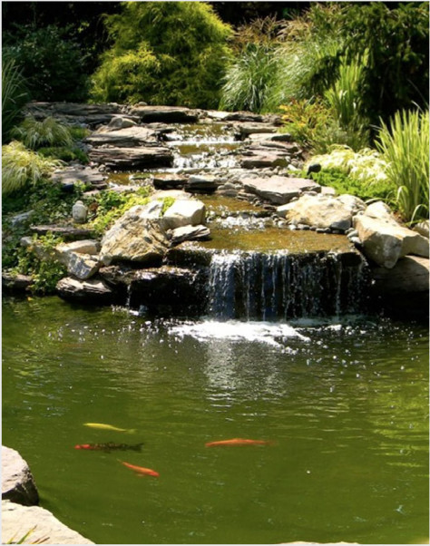 Pond Treatments