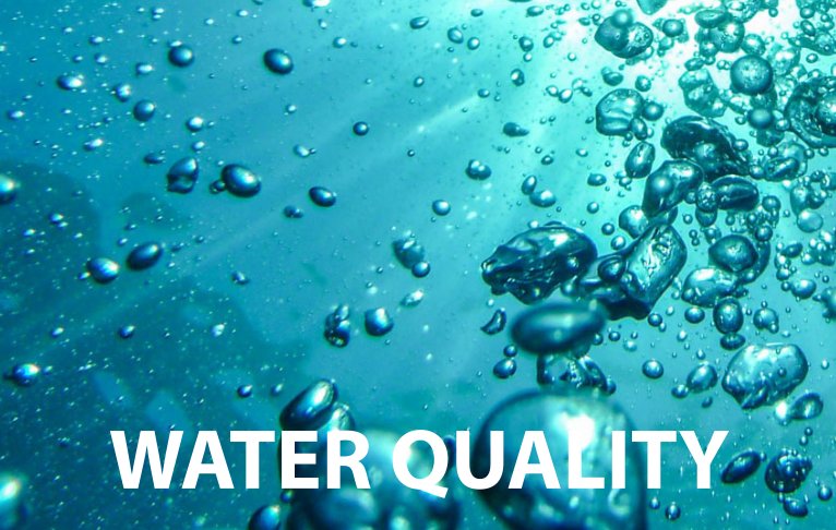 An image from under the surface of a body of water with many bubbles. The text 'water quality' is super-imposed.